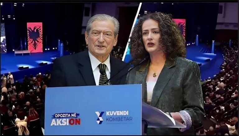 Argita Berisha, kandidate potenciale për PD-në