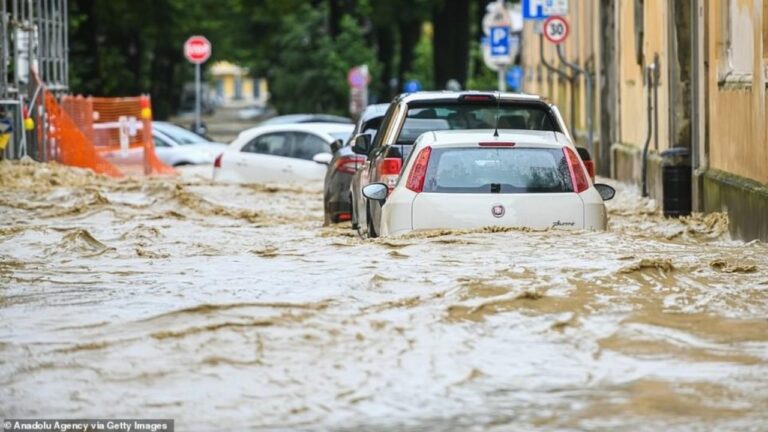 Shtrëngata shiu dhe erëra të forta, alarm në 10 rajone