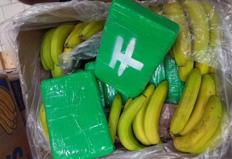 2 ton kokainë mes bananeve, mes të arrestuarve dhe shqiptarë