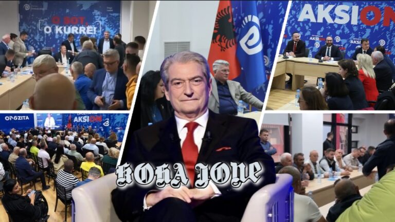 Pse po kontestohen drejtuesit politikë në PD?