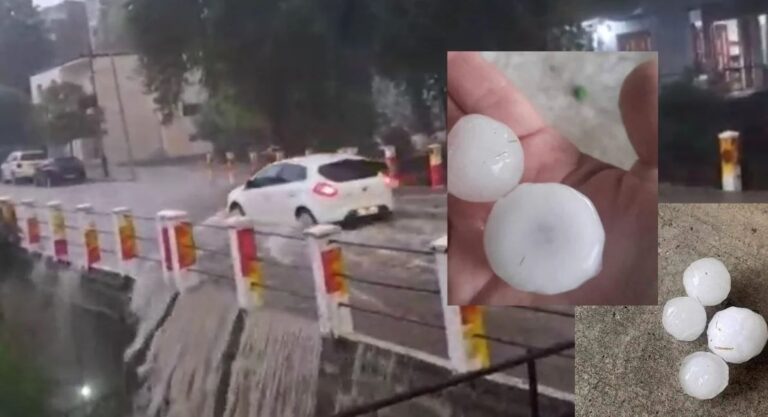 Gramsh, breshëri sa një kokërr arre