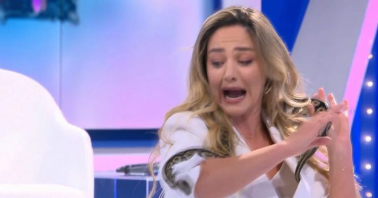 VIDEO/ I ndodh LIVE në emision, Bietës gati i bien të fikët