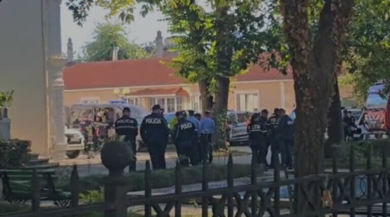 Protesta, dhjetra efektivë policie në gadishmëri te selia e Parlamentit