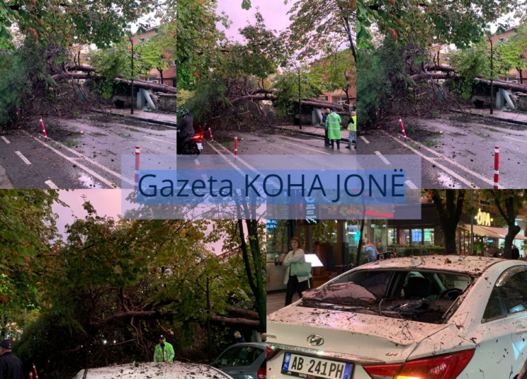 FOTO/ Moti i keq rrëzon një pemë gjigande, bllokohet qarkullimi në zonën e ish-Bllokut