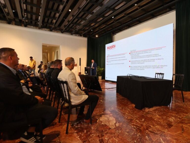 Decentralizimi, ministri Mazniku: Bashkitë më shumë rol në shëndetësi, arsim dhe bujqësi