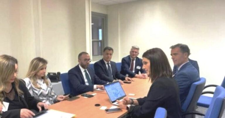 PD nesër protestë para Parlamentit Europian/ Bardhi publikon detajet nga takimi me dy eurodeputetët
