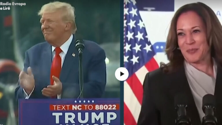 Harris përballë Trumpit: Çfarë i dallon dy kandidatët për president të SHBA-së?