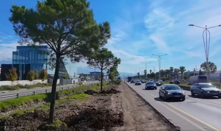 Veliaj: Të gjitha pemët e zhvendosura nga autostrada Tiranë-Durrës do të mbillen në Parkun e Liqenit