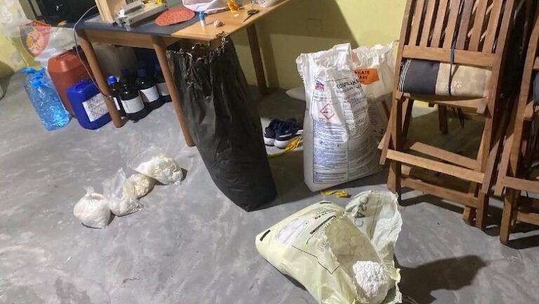 Kok@ina nga Amerika Latine në Shqipëri/ Të huajt përpunonin mallin, shqiptarët siguronin investimet