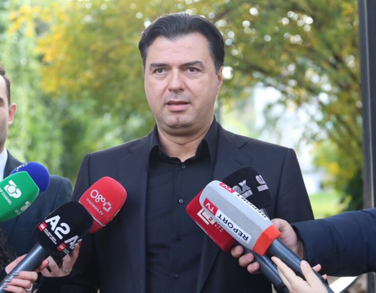Kthupi u tërhoq nga rekursi i vulës së PD, Basha: Jemi kërcënuar