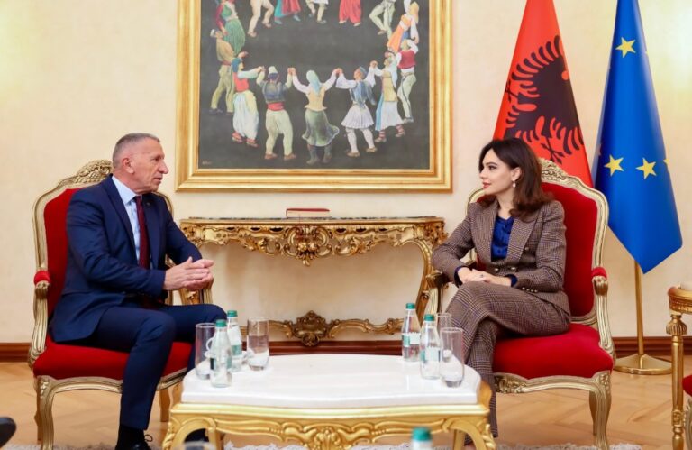 Spiropali: Prestigji ndërkombëtar i Shqipërisë, garanci për të drejtat e shqiptarëve të Luginës së Preshevës