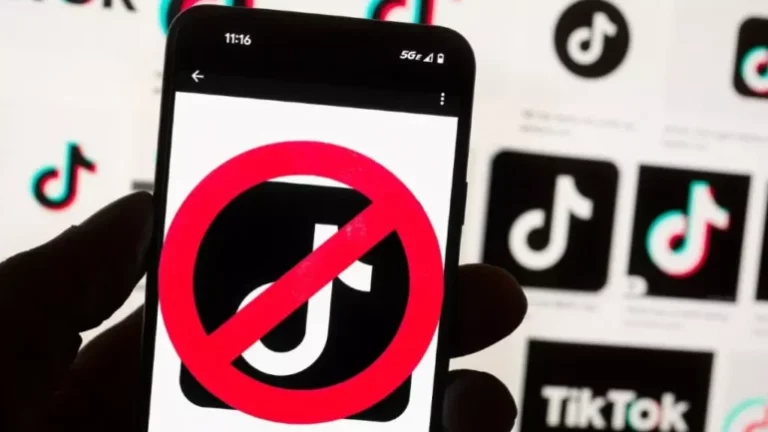 Cilat vende e kanë ndaluar TikTok-un dhe pse?