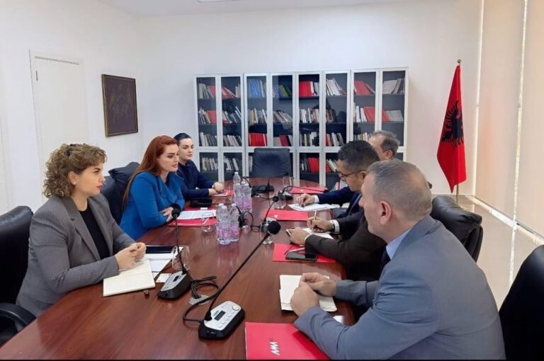 Krasniqi: AMA, rol monitorues dhe rregullues në zgjedhje