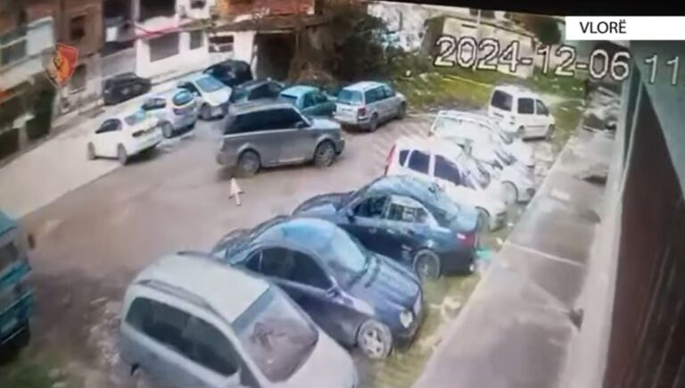 Aksioni policor, “Breaking”, godet në Vlorë vjedhësit e pronës dhe pasurisë