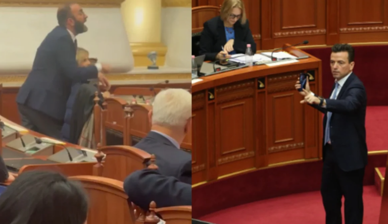 VIDEO/ Zbardhet sherri mes Shehajt dhe Bardhit në Kuvend: Ti i ke rr@hur demokratët