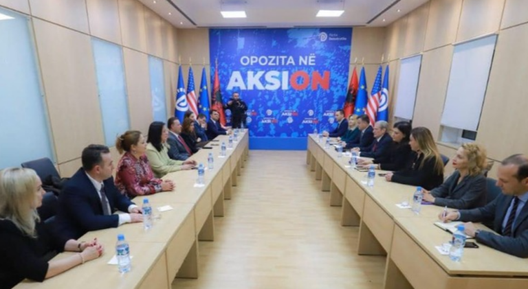 Berisha i ankohet Këshillit të Diasporës: Gjyqe politike ndaj opozitës, qeveri teknike për garantimin e votës