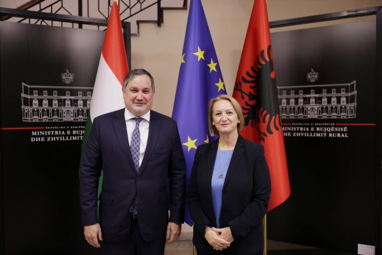 Denaj, takim me ministrin hungarez: Forcojmë lidhjet ekonomike mes dy vendeve