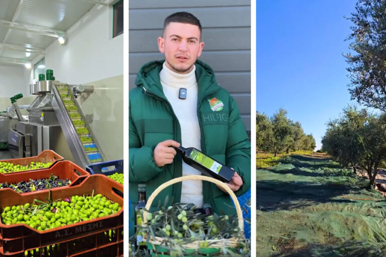 Rama uron Ditë të Rinisë me mishërimin e qartë të forcës së shembullit