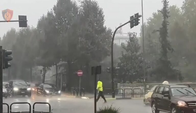 Shiu ndez shpresat për të zbutur situatën e zjarreve në vend