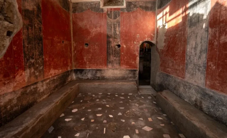 Zbulimet befasuese të jetës së luksit të të pasurve në Pompein tragjik