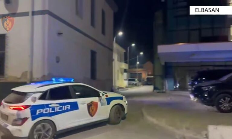 Elbasan: I vodhi me dhunë çantën me një shumë parash një shtetaseje, policia identifikon dhe vë në pranga autorin