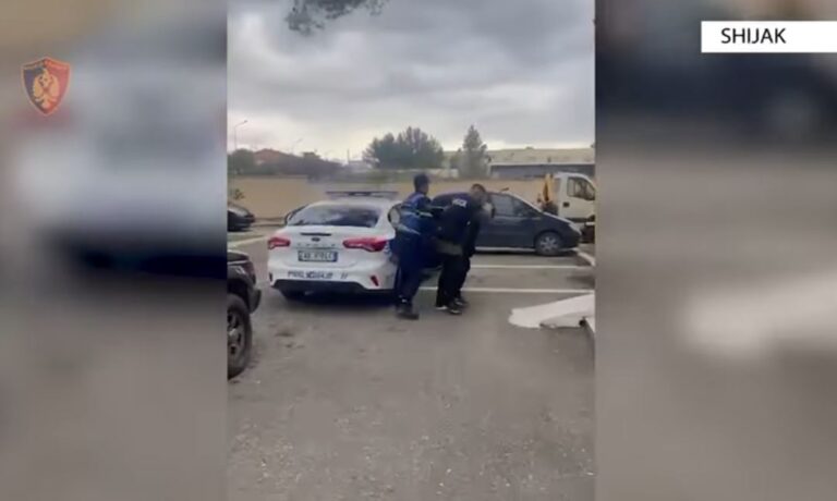 Shijak, “Theft network” vë në pranga 4 pjesëtarë të një grupi vjedhësish, shpallet në kërkim i pesti