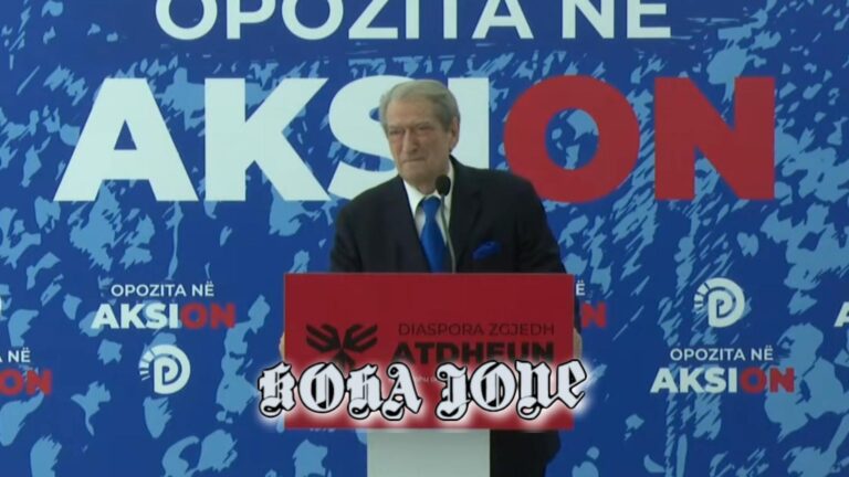 Zgjedhjet, 300 kandidatë shprehin interesin për garën e Primareve në PD