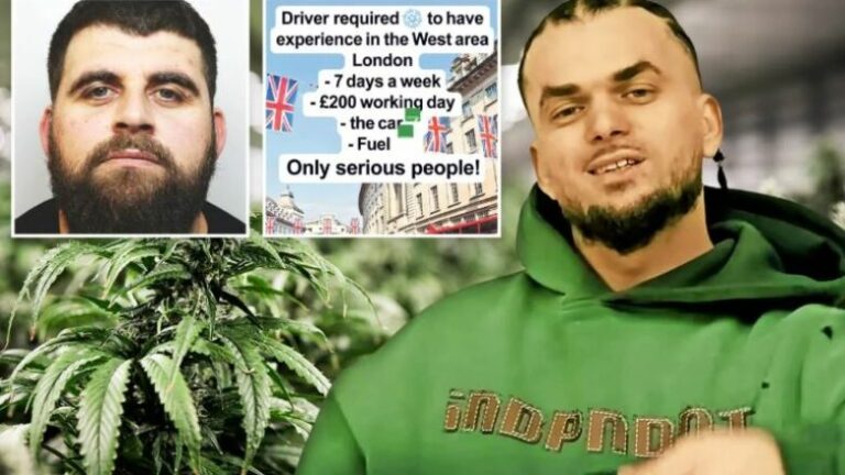 Shqiptarët në Angli hapin në TikTok “qendër punësimi”, The Sun: Rekrutojnë shitës dhe transportues droge