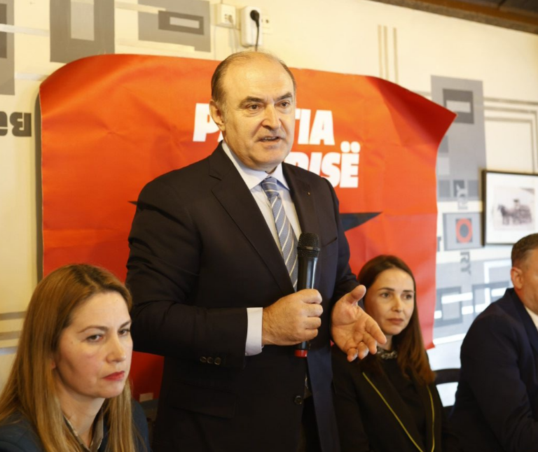 Partia e Lirisë mbledh shqiptarët në Bruksel, Haxhinasto: Ta vendosim Shqipërinë në rrugën e demokracisë
