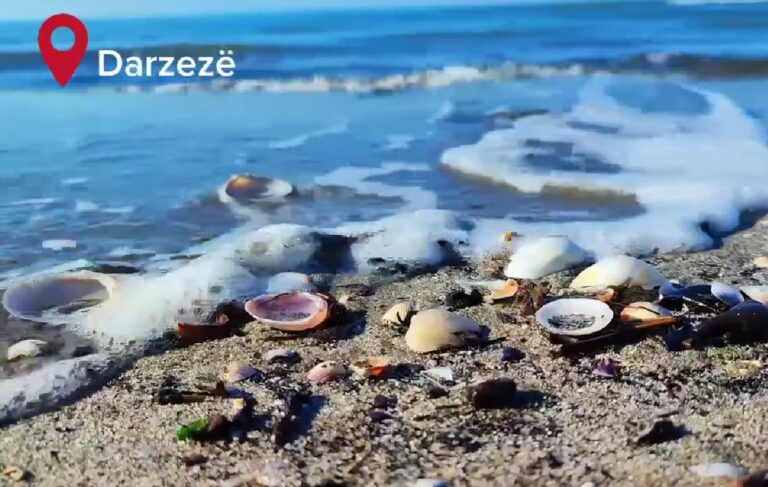 Darëzeza e Fierit, aty ku natyra dhe deti ofrojnë një pamje magjike (VIDEO)