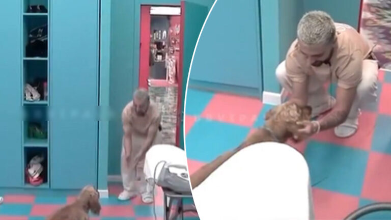 VIDEO/ Gjesti zbret çmimin e madh, prish lojën e rezistencës