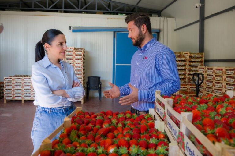 Belinda Balluku, në fshatin Kafaraj të Fierit, ku prodhohen luleshtrydhet, produketet e zinxhirit të marketeve europiane