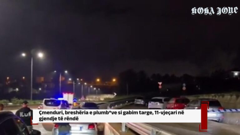 Çmenduri, breshëria e plumb*ve si gabim targe, 11-vjeçari në gjendje të rëndë