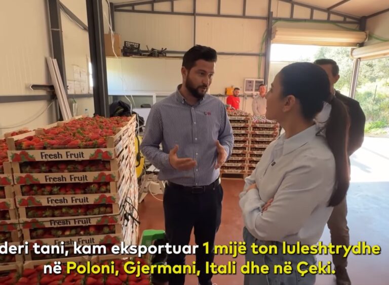 Belinda Balluku: Bujqësia në Shqipëri po punëson të rinjtë me pagesa si në çdo vend të BE-së