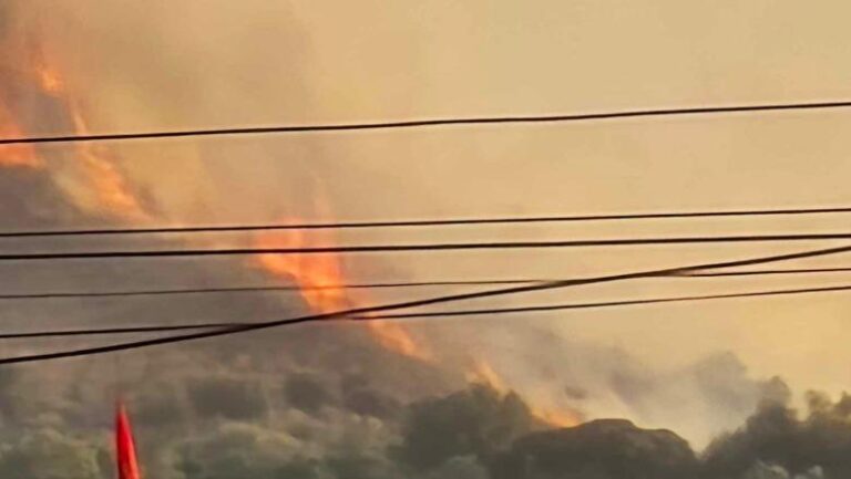 Zjarr pranë një resorti, zjarrfikëset po punojnë për shuarjen