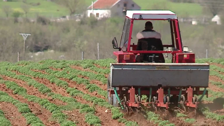 Aplikimet për subvencione, 70 mijë fermerë bënë kërkesë, 53 mijë duan që të mbështeten me naftë
