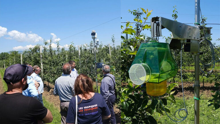 Ministrja e Bujqësisë dhe Zhvillimit Rural, Anila Denaj: Tre stacione meteorologjike moderne për fermerët në Korçë