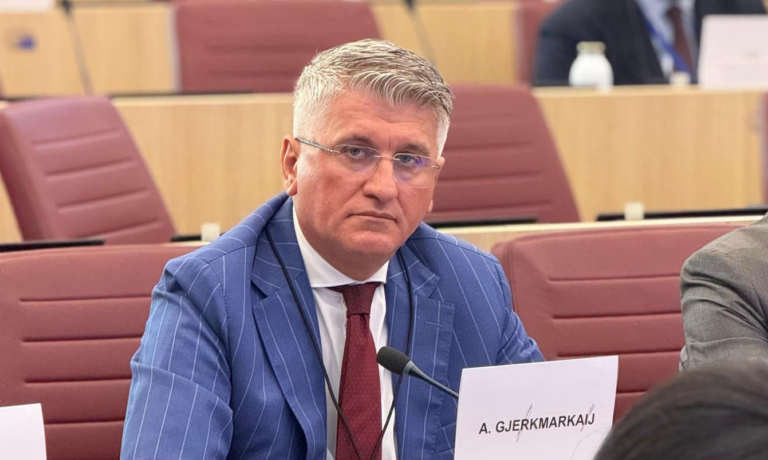 Gjekmarkaj në forumin e Parlamentit Europian: Shqipëria ka bërë hapa pas në shtyllat që e mbajnë në këmbë një demokraci funksionale