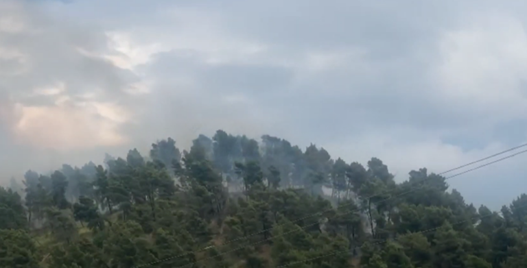 Zjarri në Kodër Krastë, situata bëhet alarmante