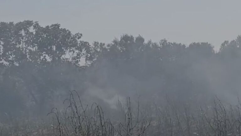 Zjarr në Karbunarë, digjen dhjetëra dynymë agrume dhe ullishte