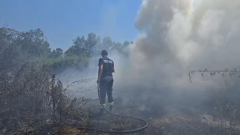 Zjarri shkrumbon tokën me grurë dhe 200 rrënjë ullinj