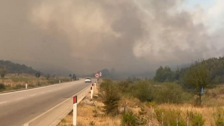 FOTO/ Situatë alarmuese nga flakët në Delvinë, disa vatra të forta zjarri