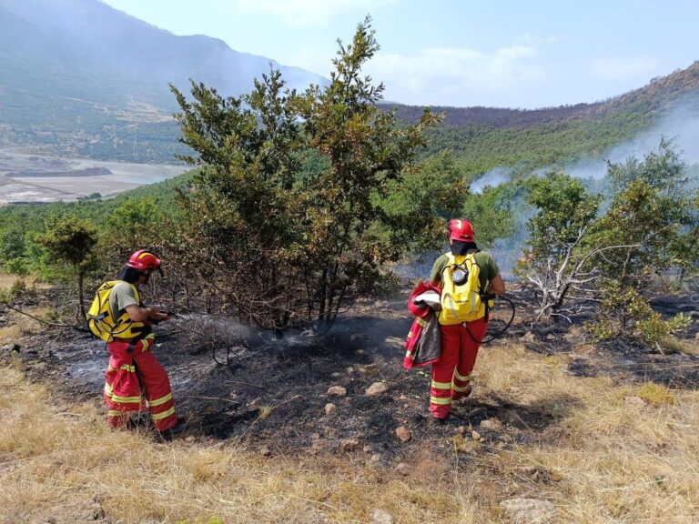 Policia: 12 shtetas të dyshuar si autorë të zjarrvënieve, të arrestuar apo të proceduar