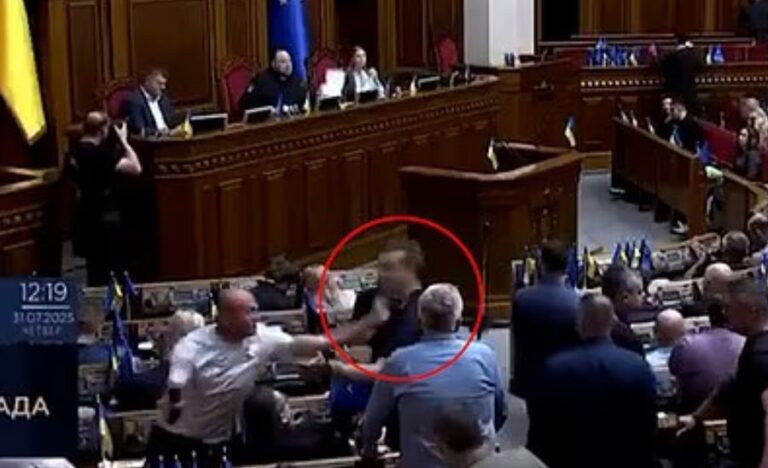 VIDEO/ Deputetët harrojnë luftën, grushta dhe sherr mes tyre