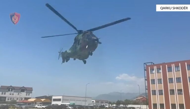 Bën kërdinë në Shkodër operacioni “Koordinata”, kundër kultivimit të bimëve narkotike