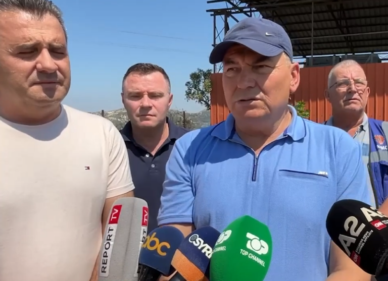 Situata kritike nga zjarri në Drenovë, Çako: Të ashpërsohen masat ndaj zjarrvënësve