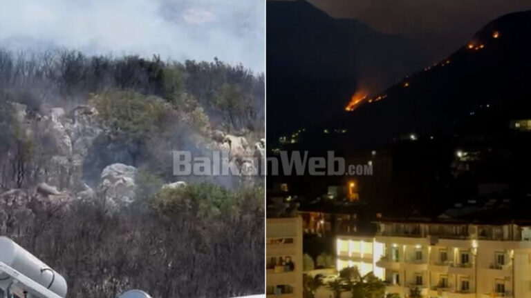 Flakë në Borsh, zjarrfikësit shmangin djegien e shtëpive afër kalasë
