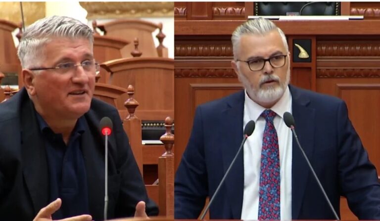 Ironi mes Toni Gogut dhe Agron Gjekmarkajt në Kuvend