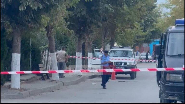 Përsëritet historia, një 14-vjeçar vritet me thikë. Autori ndodhet në spital