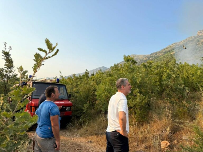 Kryebashkiaku Dredha: Forcat zjarrfikëse janë në punë për shuarjen e zjarrit në Tragjas